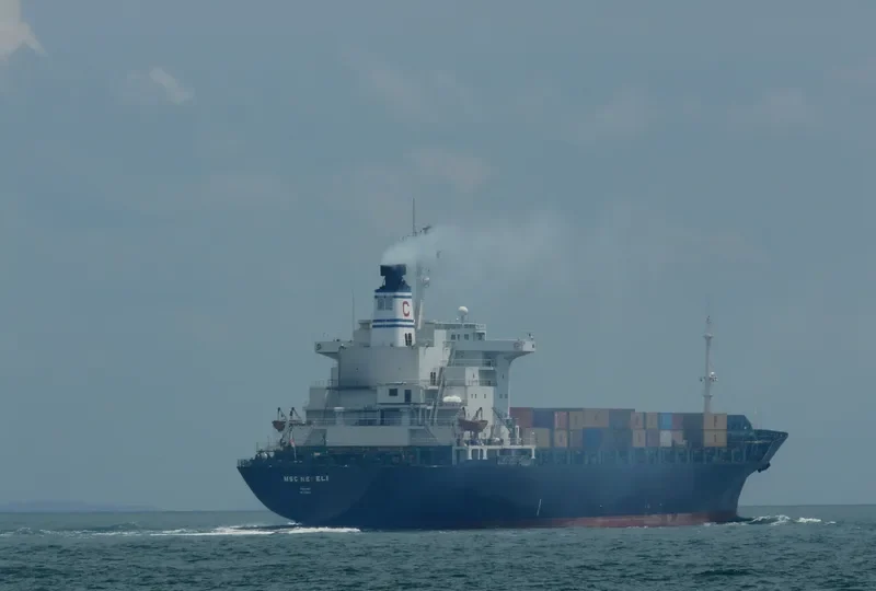 MSC NEFELI Container Ship IMO 7930668 photo 4