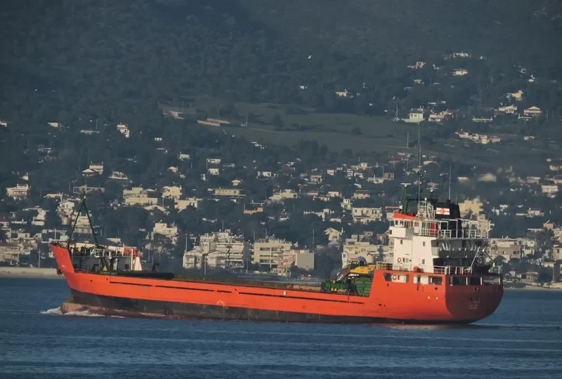 ELENI K II General Cargo IMO 7931088 photo 7