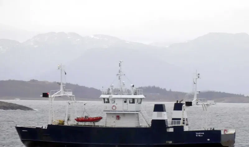 TARVA Ro-Ro IMO 7931210 photo 9