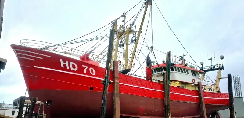 HANNY General Cargo IMO 7931284 photo 6