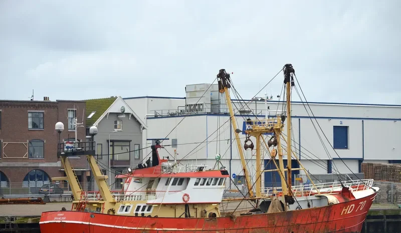 HANNY General Cargo IMO 7931284 photo 7