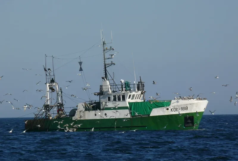 KOL 188 General Cargo IMO 7931349 photo 6