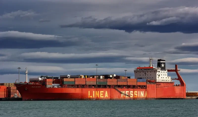 JOY Container Ship IMO 7931765 photo 5