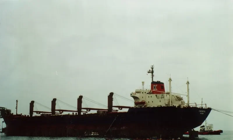 BODAR Bulk Carrier IMO 7931818