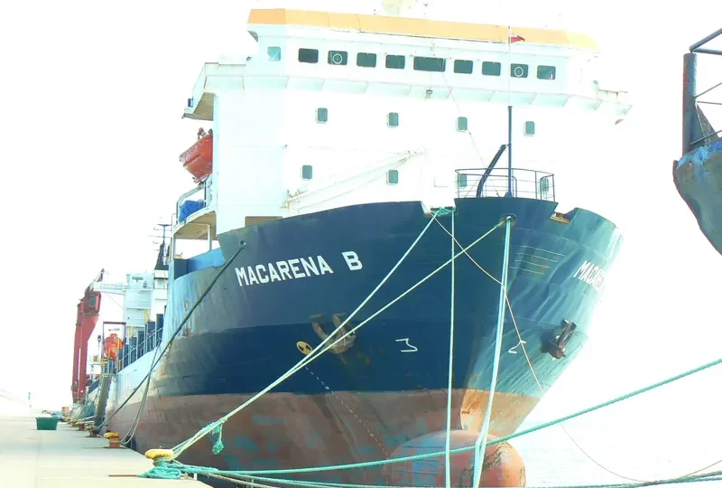 ARENA Container Ship IMO 7931923 photo 2