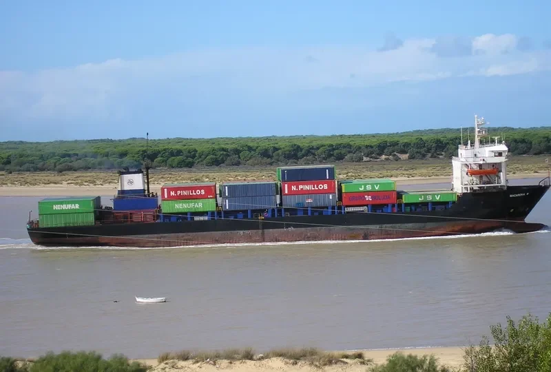 ARENA Container Ship IMO 7931923 photo 3