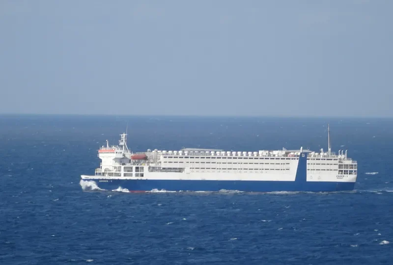 VICTORY General Cargo IMO 7931985 photo 5