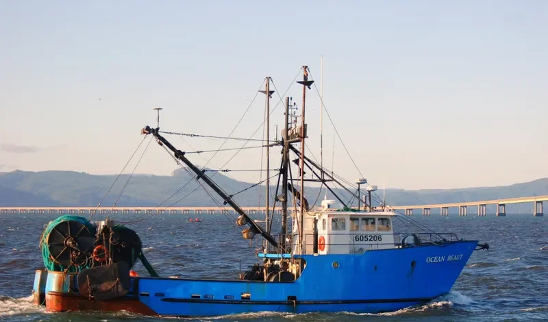 OCEAN BEAUT General Cargo IMO 7932185 photo 3