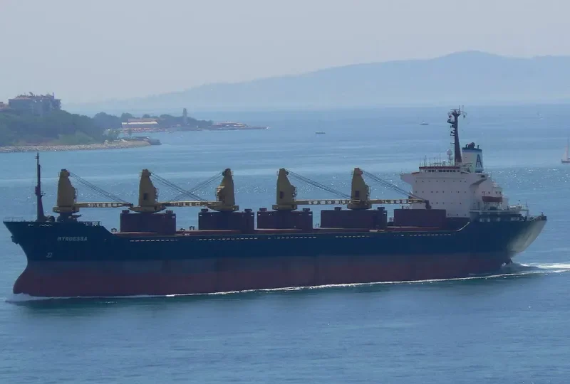 JIAJIAXIN 1 Bulk Carrier IMO 7932599 photo 2