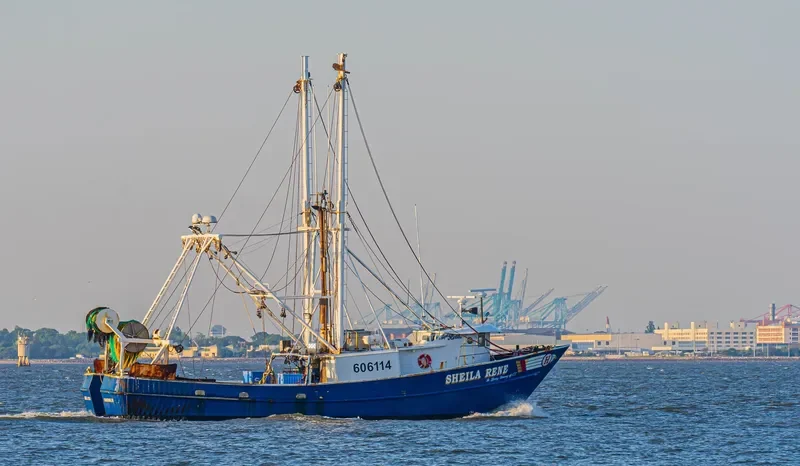 SHEILA RENE General Cargo IMO 7933464