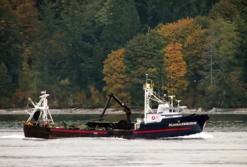 ALASKA ENDEAVOR General Cargo IMO 7933555