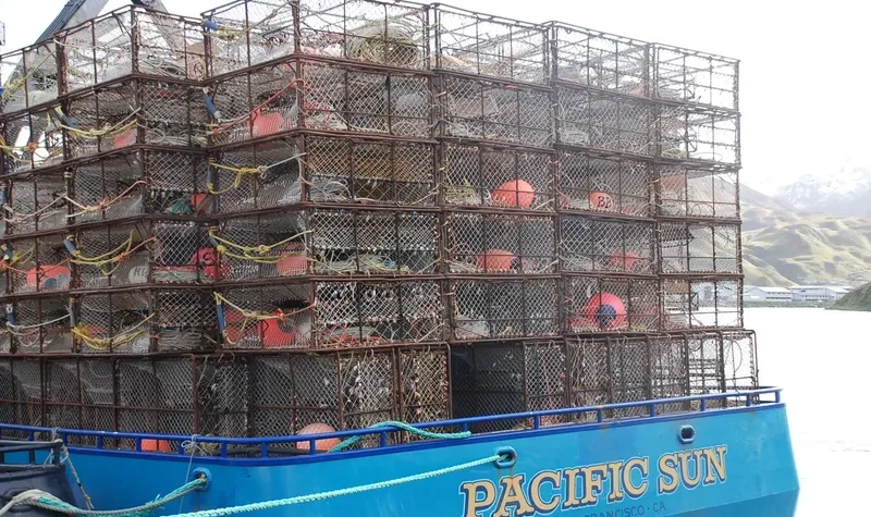 PACIFIC SUN General Cargo IMO 7933567 photo 2