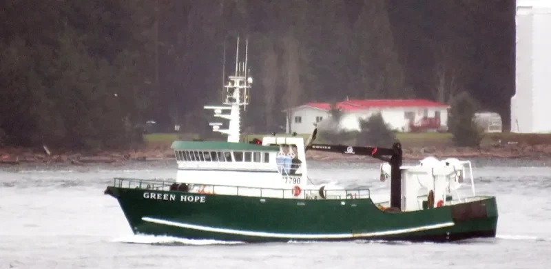 GREEN HOPE General Cargo IMO 7933969 photo 2