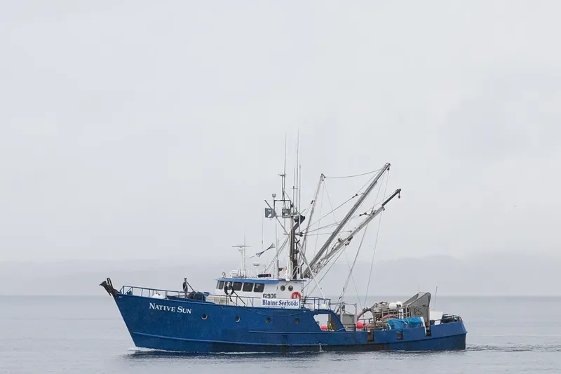 NATIVE SUN General Cargo IMO 7933983