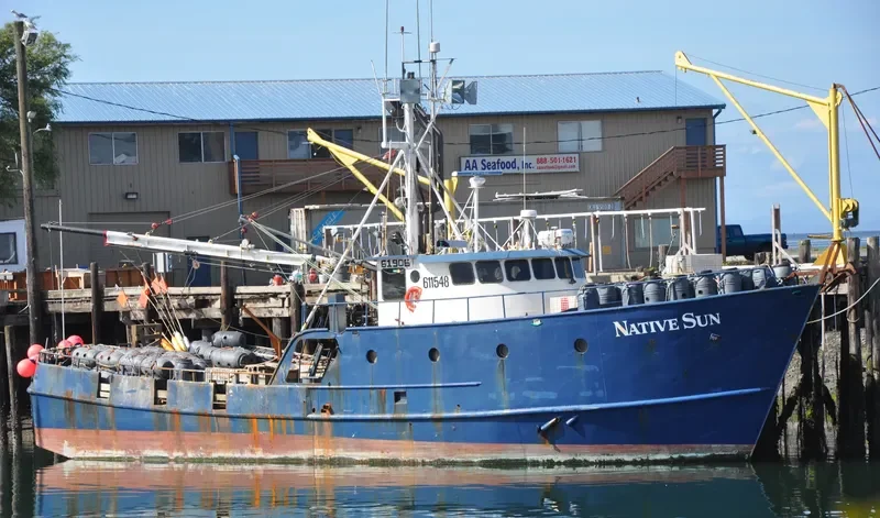 NATIVE SUN General Cargo IMO 7933983 photo 2