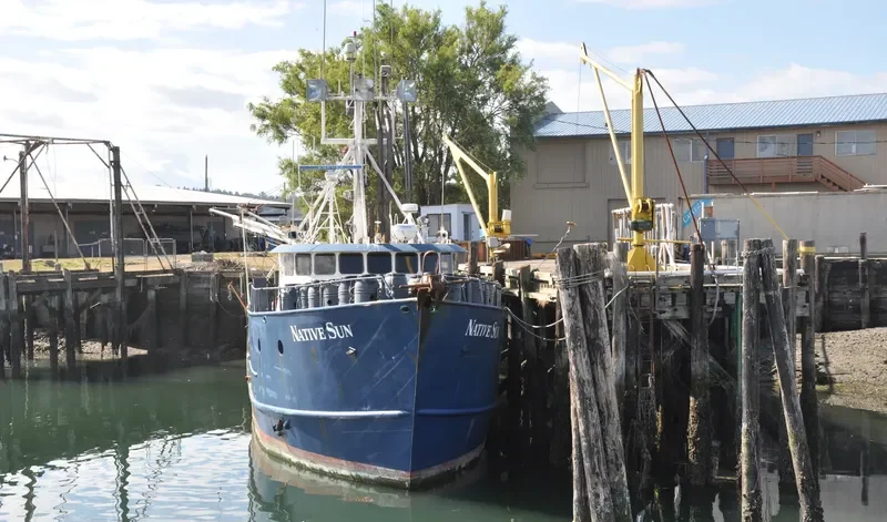NATIVE SUN General Cargo IMO 7933983 photo 3