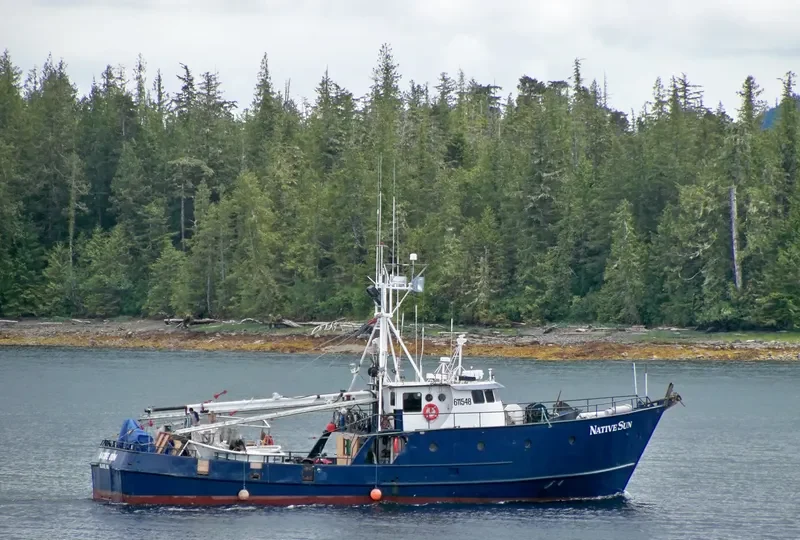 NATIVE SUN General Cargo IMO 7933983 photo 4