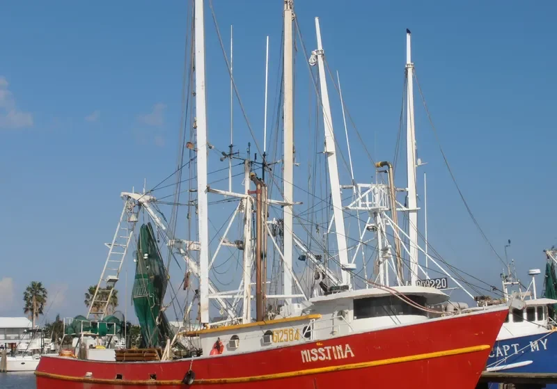 MISS TINA General Cargo IMO 7933995