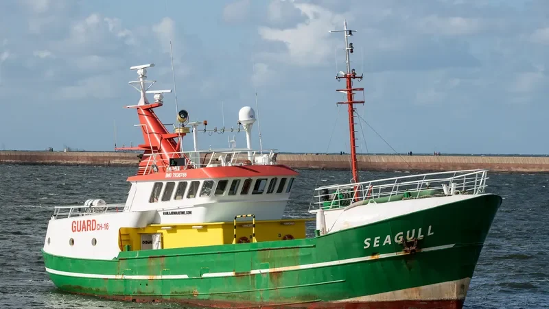 SEAGULL General Cargo IMO 7936765 photo 3
