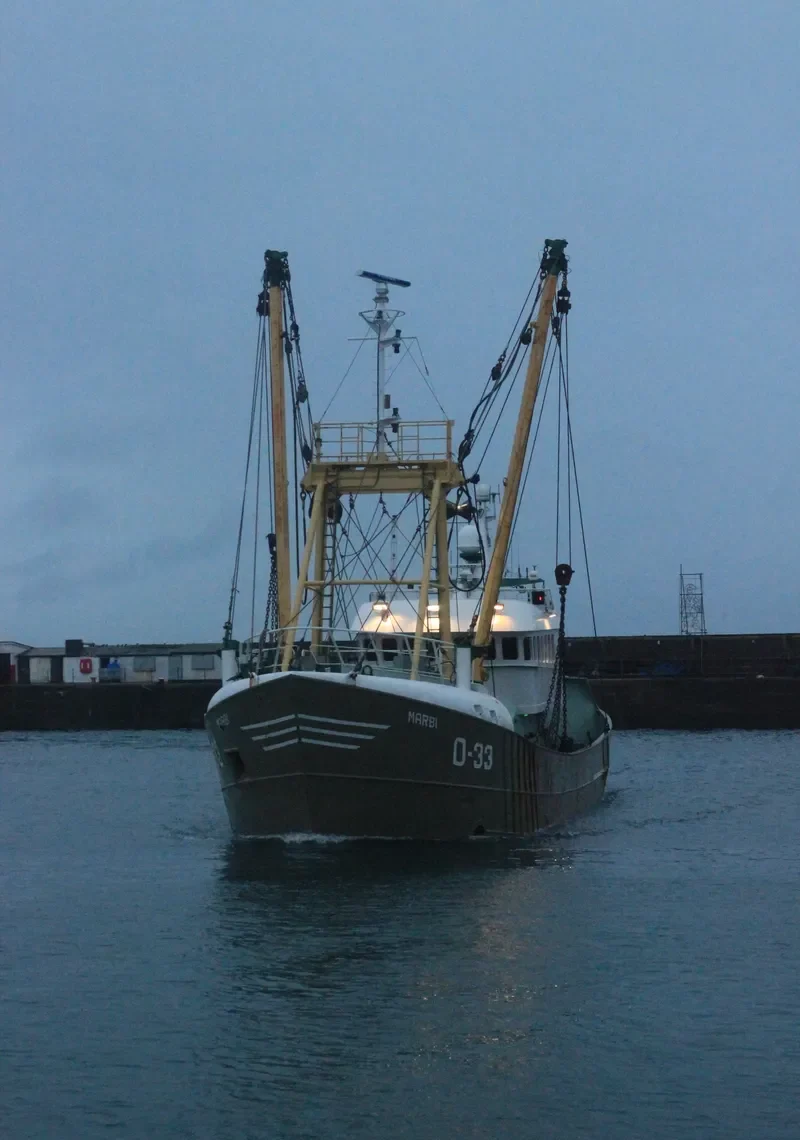 MARBI General Cargo IMO 7936791 photo 2