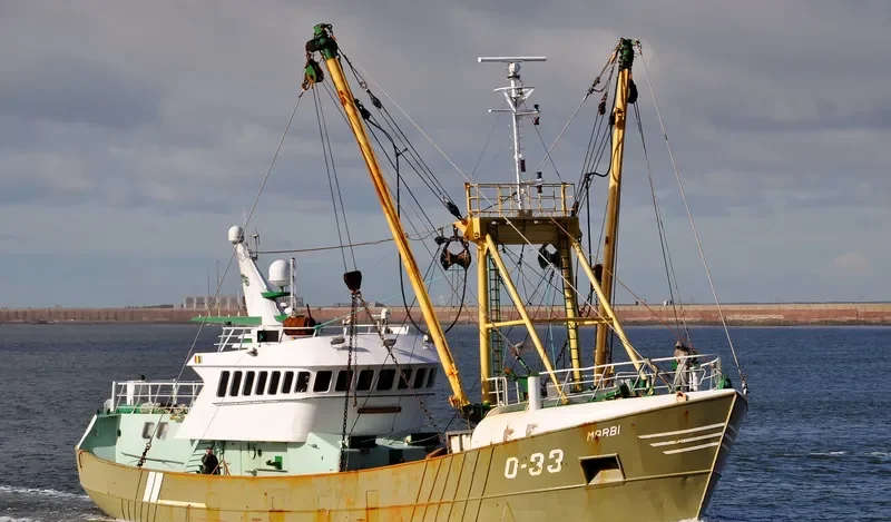 MARBI General Cargo IMO 7936791 photo 5