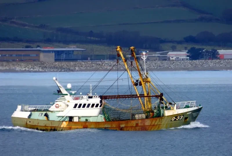 MARBI General Cargo IMO 7936791 photo 8