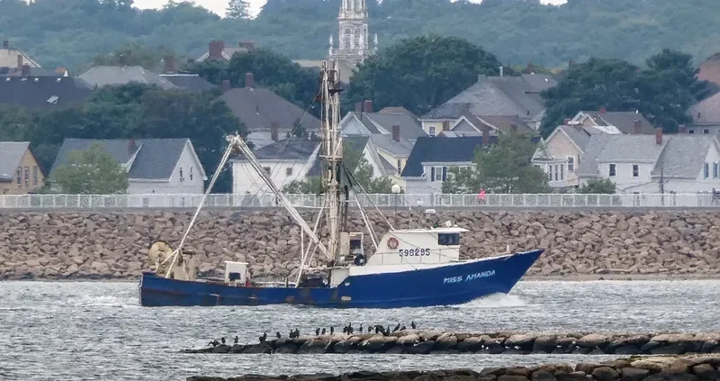 MISS AMANDA General Cargo IMO 7938268