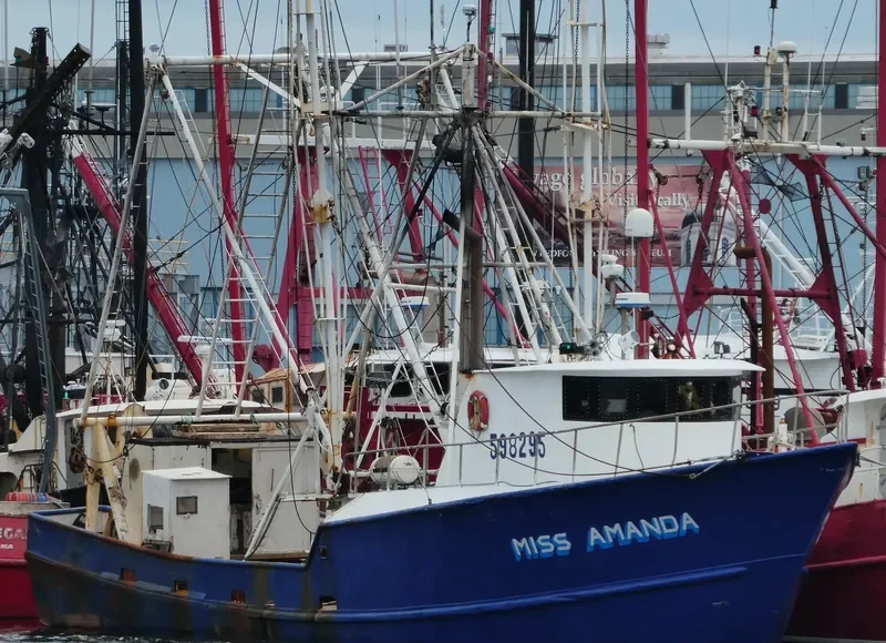 MISS AMANDA General Cargo IMO 7938268 photo 2