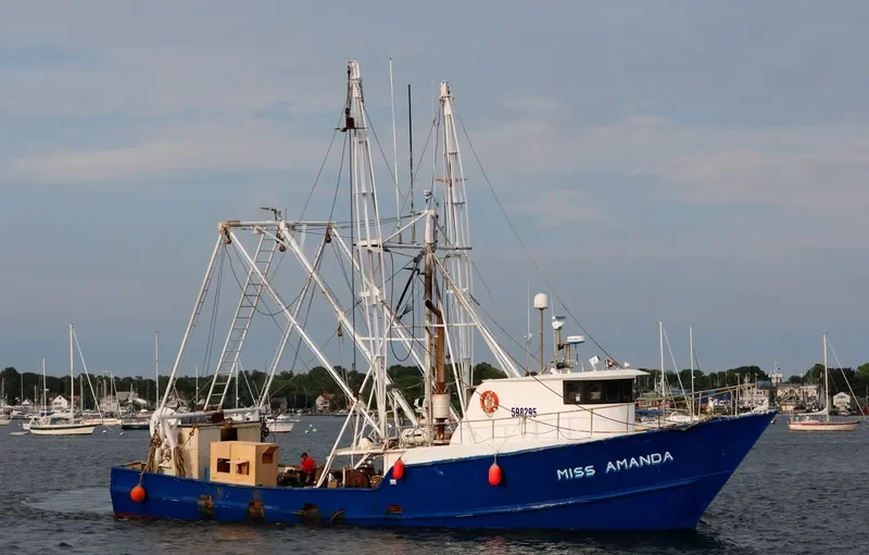 MISS AMANDA General Cargo IMO 7938268 photo 4