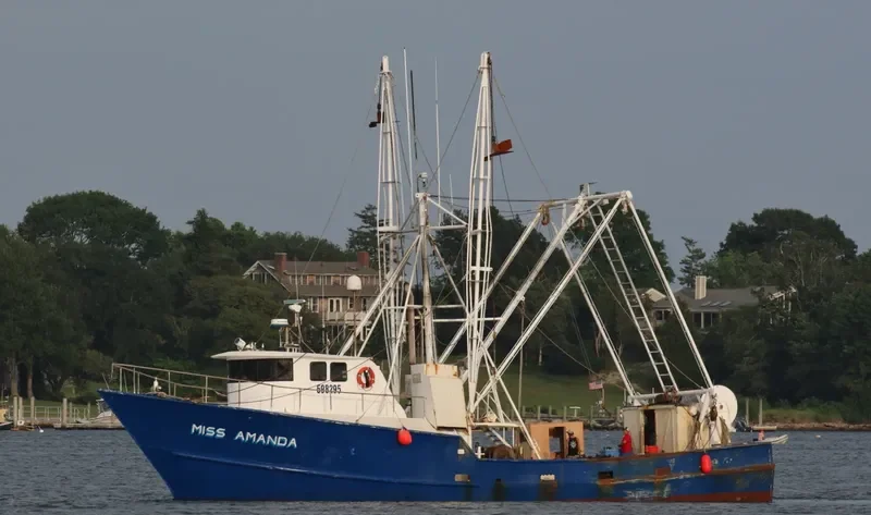 MISS AMANDA General Cargo IMO 7938268 photo 5