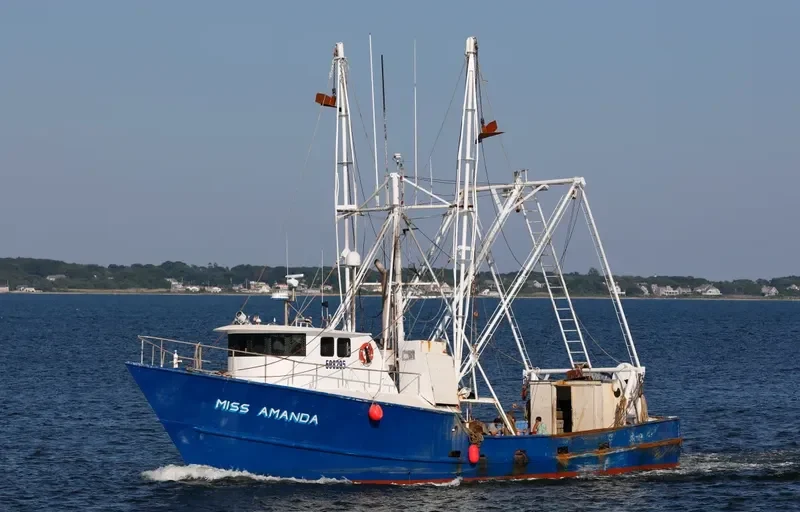 MISS AMANDA General Cargo IMO 7938268 photo 8