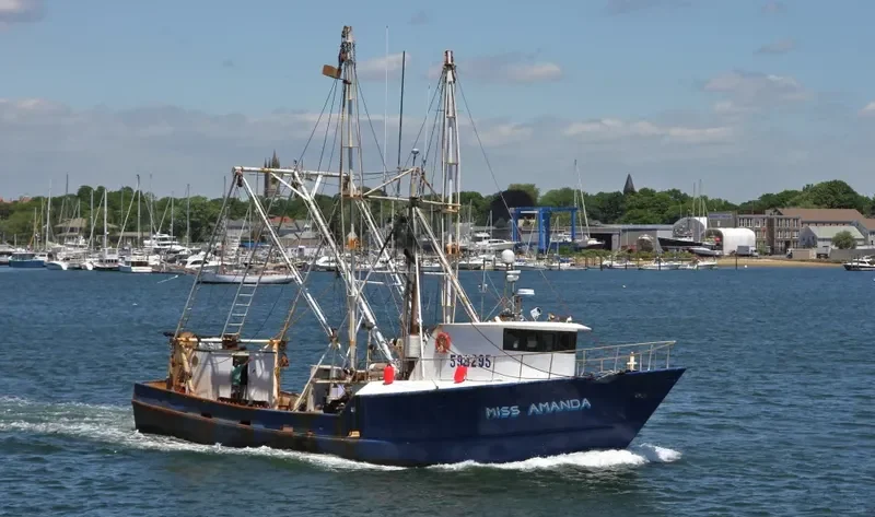 MISS AMANDA General Cargo IMO 7938268 photo 9