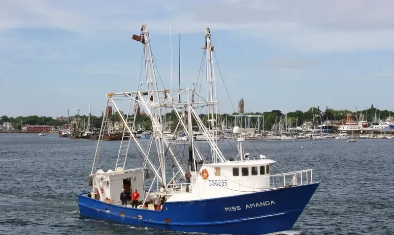MISS AMANDA General Cargo IMO 7938268 photo 10