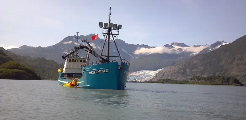 DETERMINED General Cargo IMO 7938634