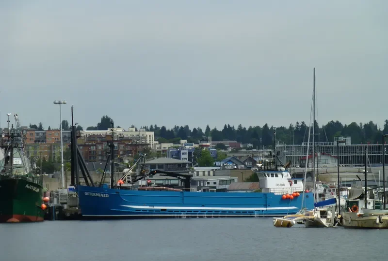 DETERMINED General Cargo IMO 7938634 photo 2