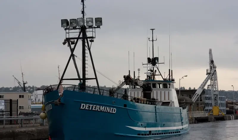 DETERMINED General Cargo IMO 7938634 photo 5