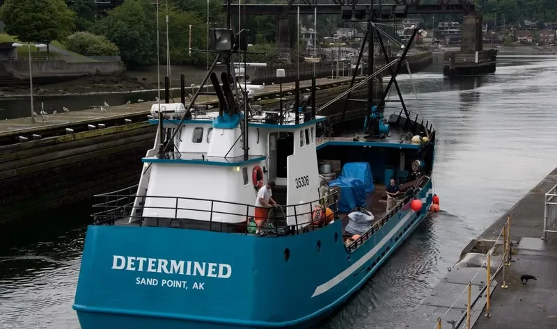 DETERMINED General Cargo IMO 7938634 photo 6