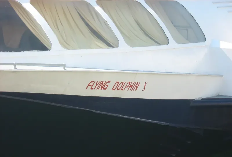 FLYING DOLPHIN X General Cargo IMO 7939004 photo 4