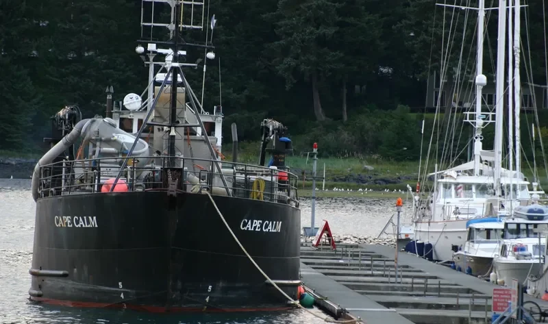 CAPE CALM General Cargo IMO 7939523 photo 2