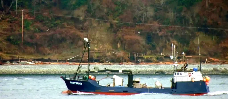 BRITTANY General Cargo IMO 7939535 photo 6