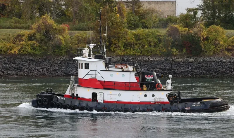 TREVOR General Cargo IMO 7939638 photo 7