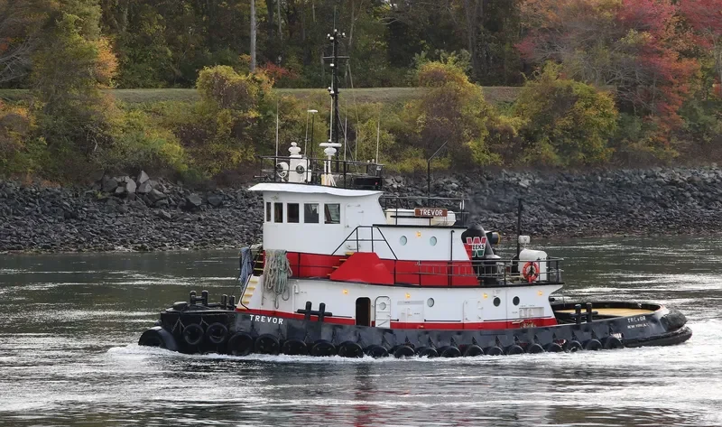 TREVOR General Cargo IMO 7939638 photo 8