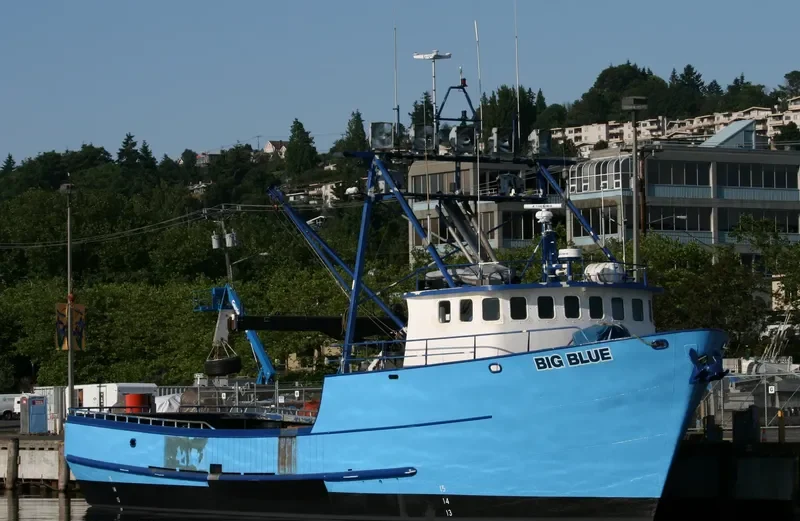BIG BLUE General Cargo IMO 7940015