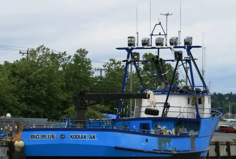 BIG BLUE General Cargo IMO 7940015 photo 2