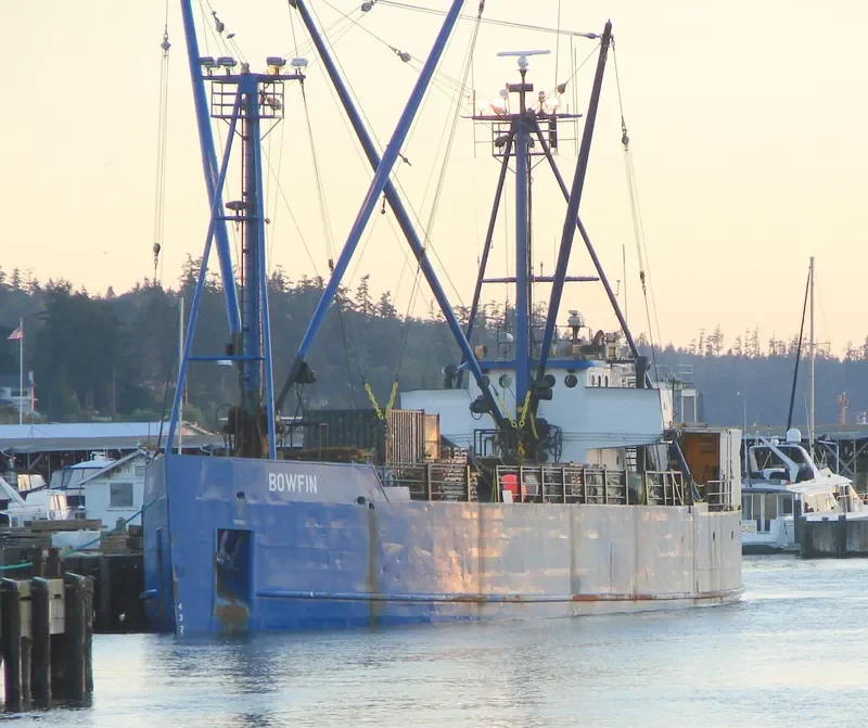 BOWFIN General Cargo IMO 7940039 photo 2