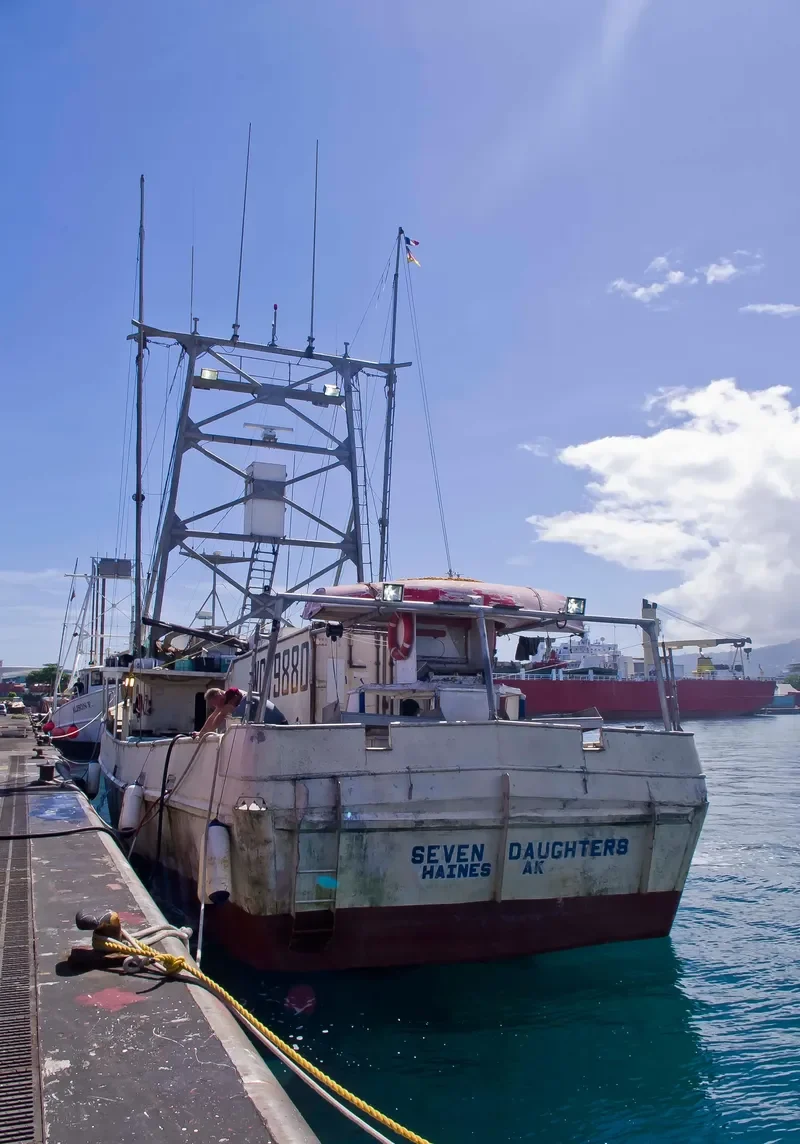 SEVEN DAUGHTERS General Cargo IMO 7940247 photo 3
