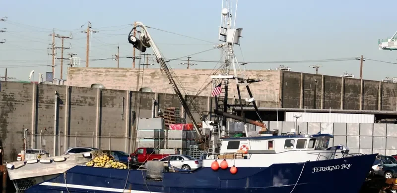 FERRIGNO BOY Fishing Vessel IMO 7940376 photo 2