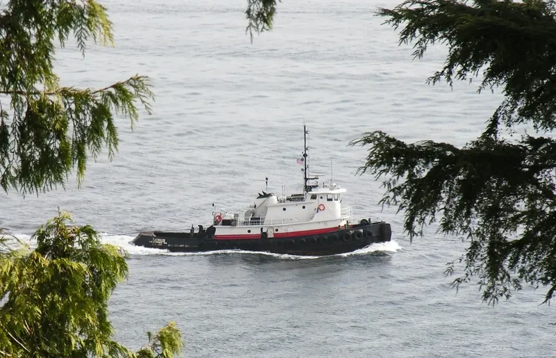 TAURUS Tug Boat IMO 7941021 photo 8