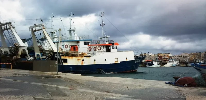 COSIMO PADRE General Cargo IMO 7941497