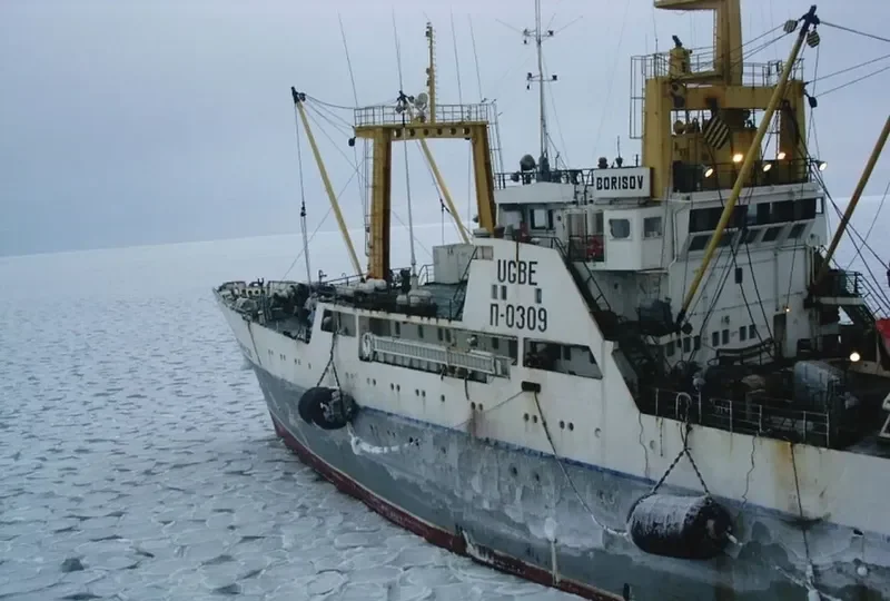 BORISOV General Cargo IMO 7941631